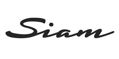 siam banner logo