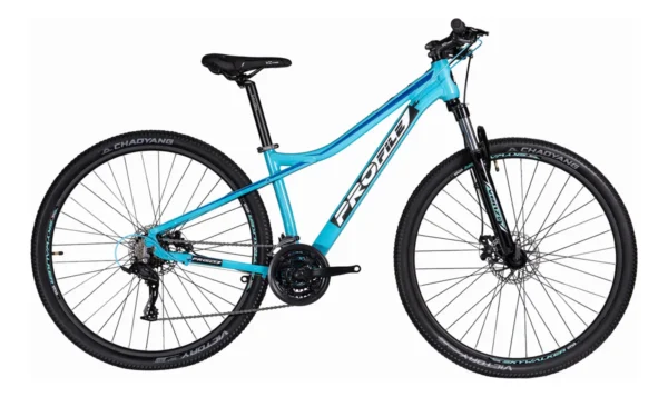profile r 29