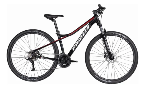 profile r 29